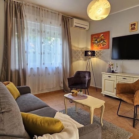 Holiday Home Istra With Jacuzzi 梅杜林 外观 照片