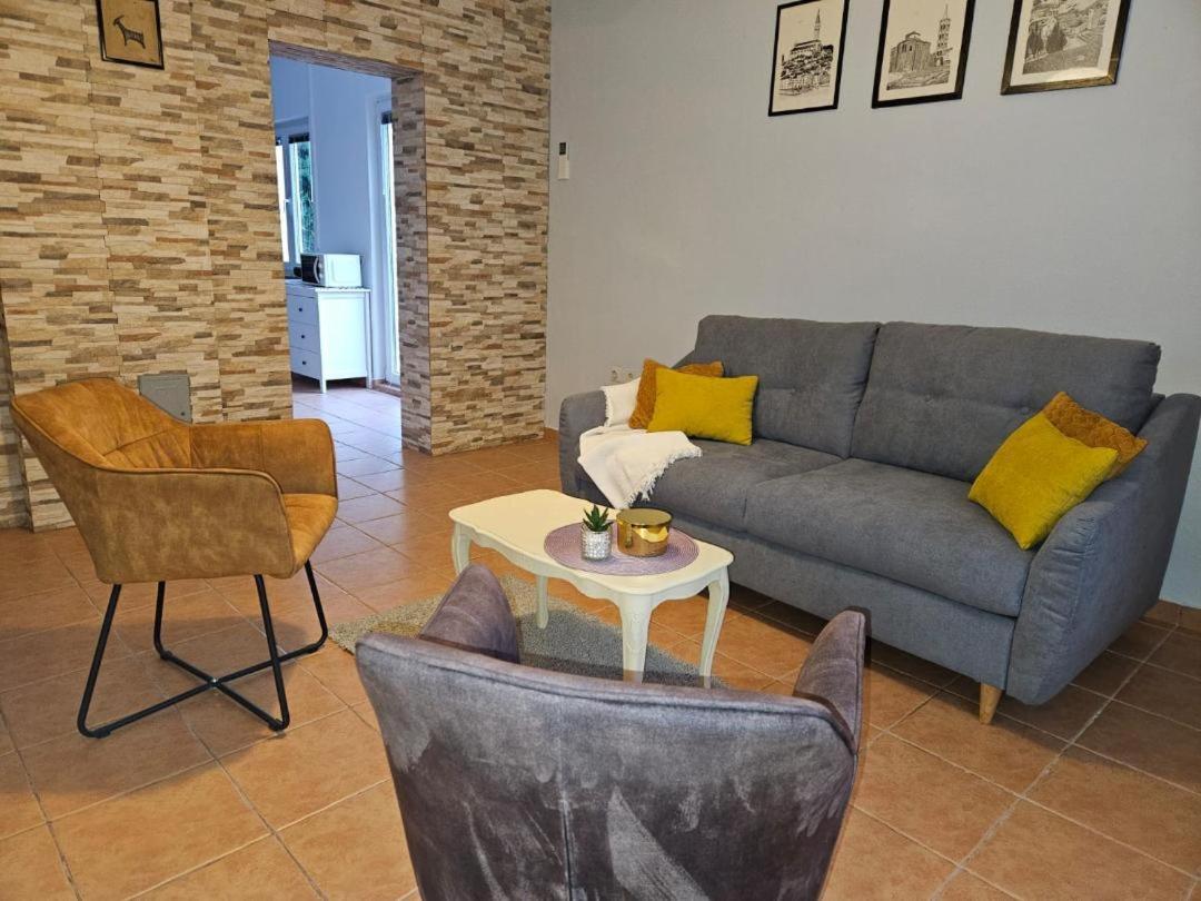 Holiday Home Istra With Jacuzzi 梅杜林 外观 照片