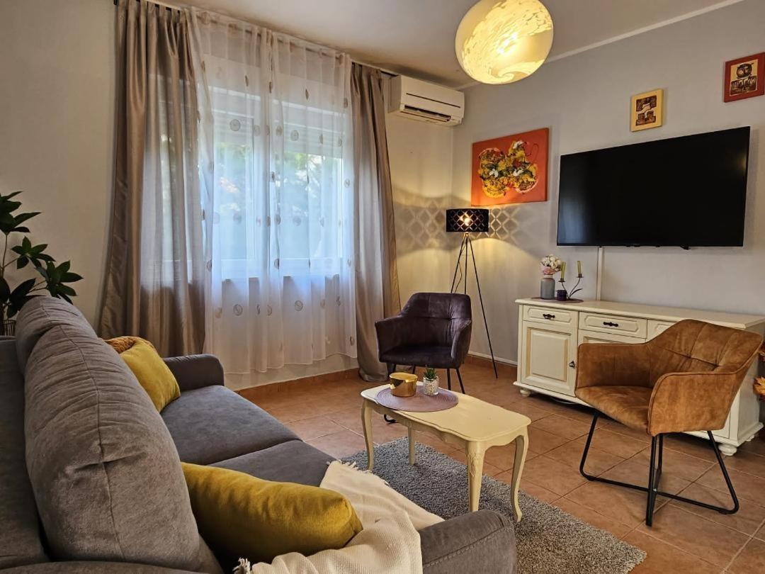 Holiday Home Istra With Jacuzzi 梅杜林 外观 照片